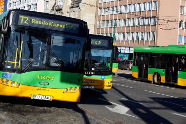 Autobus pojedzie do Term Maltańskich?