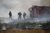 Trwają żniwa, a pożarów coraz więcej. W wielu regionach kraju rolnicy tracą dobytek. Jak zminimalizować ryzyko rozprzestrzeniania się ognia?