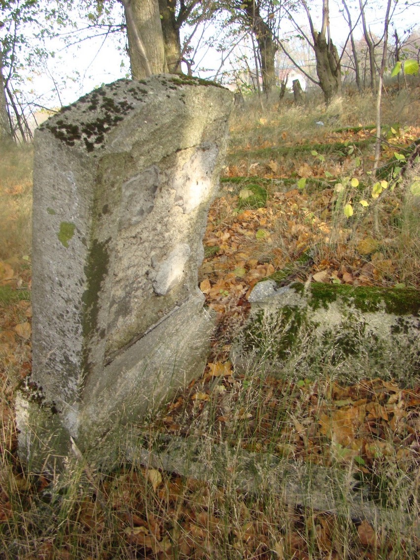 Zapomniane cmentarze ewangelickie na Pomorzu. Rozkradzione groby zbiorowej niepamięci [ZDJĘCIA]