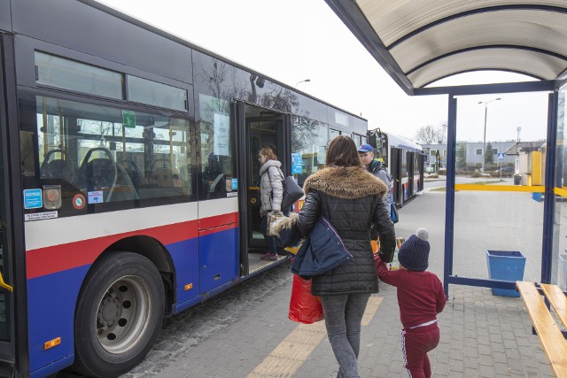 Nocne autobusy wyjadą na swoje trasy dwukrotnie (zdjęcie poglądowe).