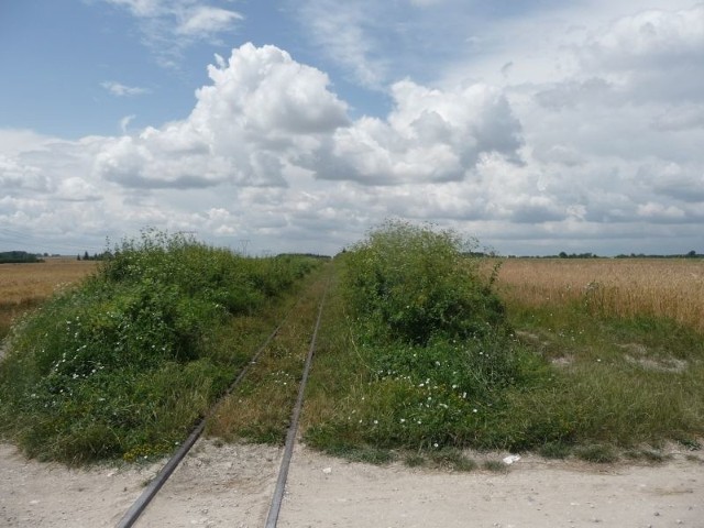 Ścieżka rowerowa będzie wiodła wzdłuż trasy kolejki wąskotorowej od granic Jędrzejowa do granic gminy. Jej długość wyniesie 9 kilometrów.