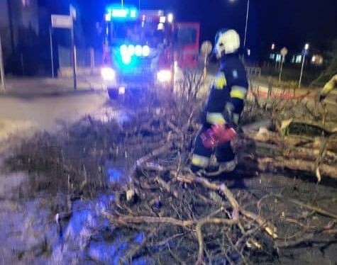 Mnóstwo interwencji strażaków w regionie radomskim.  Wiatr siał zgrozę. Przewrócone drzewa, uszkodzone samochody i linie energetyczne