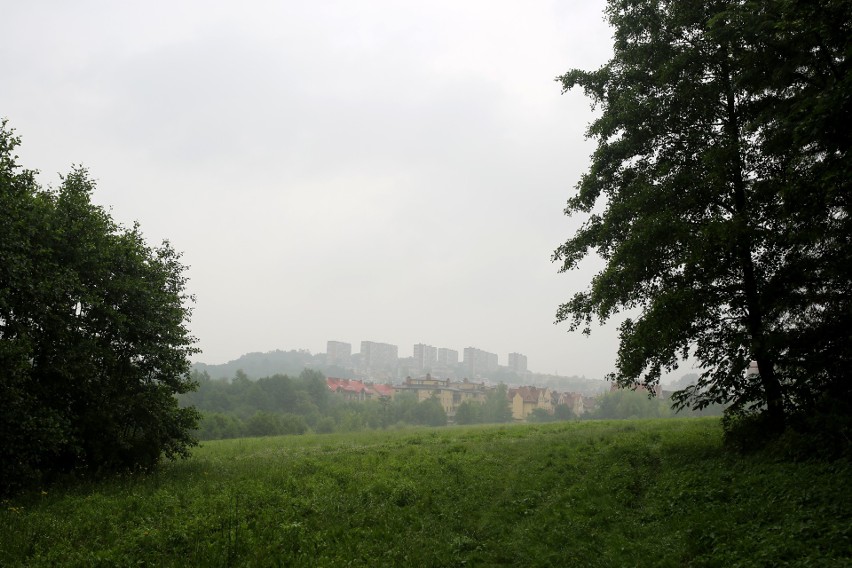 Tereny przyszłego parku na Prądniku Czerwonym