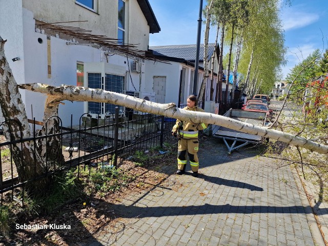 Interwencja strażaków w Łebie.