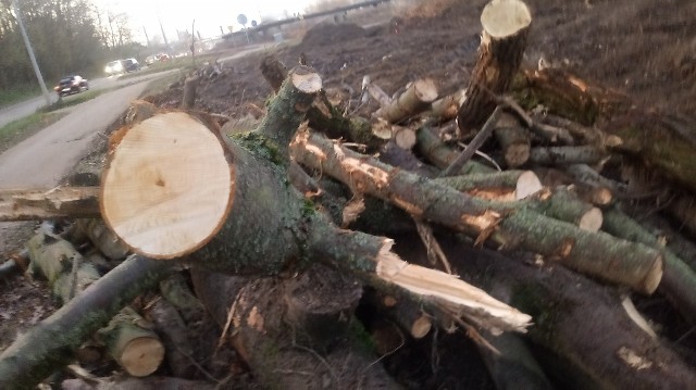 Tak wyglądają przygotowania do budowy drugiej nitki ul. Zawackiej i Walczaka oraz rozbudowy linii tramwajowej