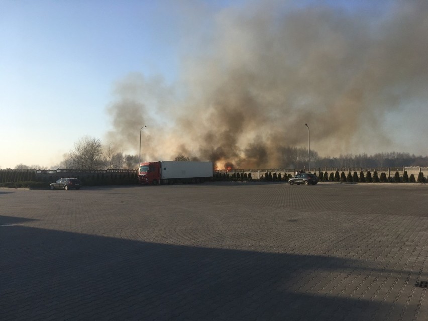 Zdjęcia pożaru traw, niedaleko stacji paliw w Jasionce,...