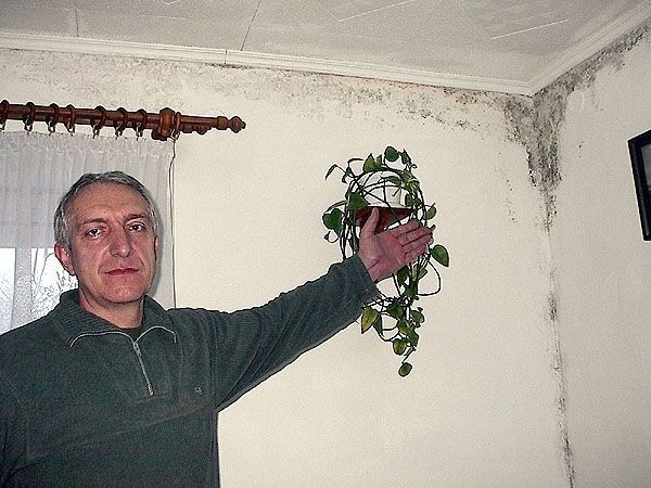 Marek Bełtowski z Konieczna pokazuje grzyba na ścianach kuchni, który każdej zimy wychodzi w mieszkaniu i jest wielkim utrapieniem dla rodziny, wpływającym na stan zdrowia mieszkających tutaj dzieci.