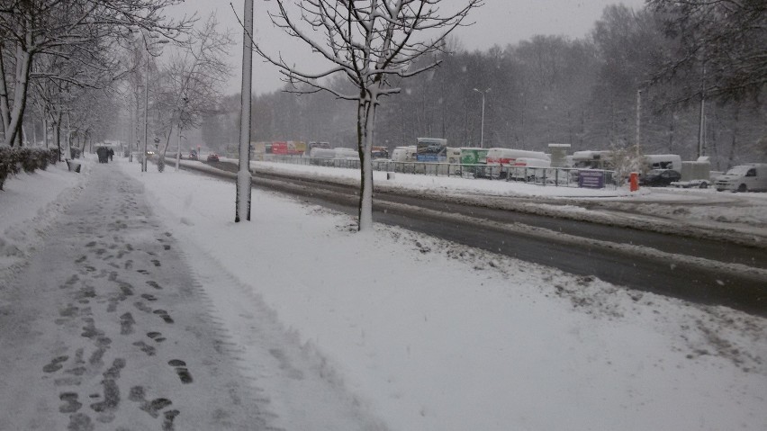 Jastrzębie: Śliska nawierzchnia, miasto zasypane śniegiem