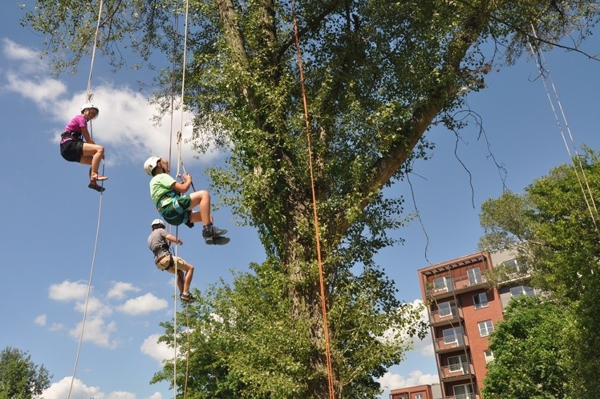 Chcą uratować park na Kępie Mieszczańskiej i utrudnić życie deweloperom