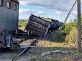 Pod Przemyślem wykoleił się pociąg towarowy [ZDJĘCIA]