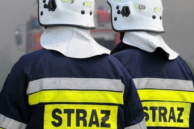 Do pożaru suszarni zboża doszło dziś w Łasinie. Z ogniem walczyło 7 zastępów strażaków.