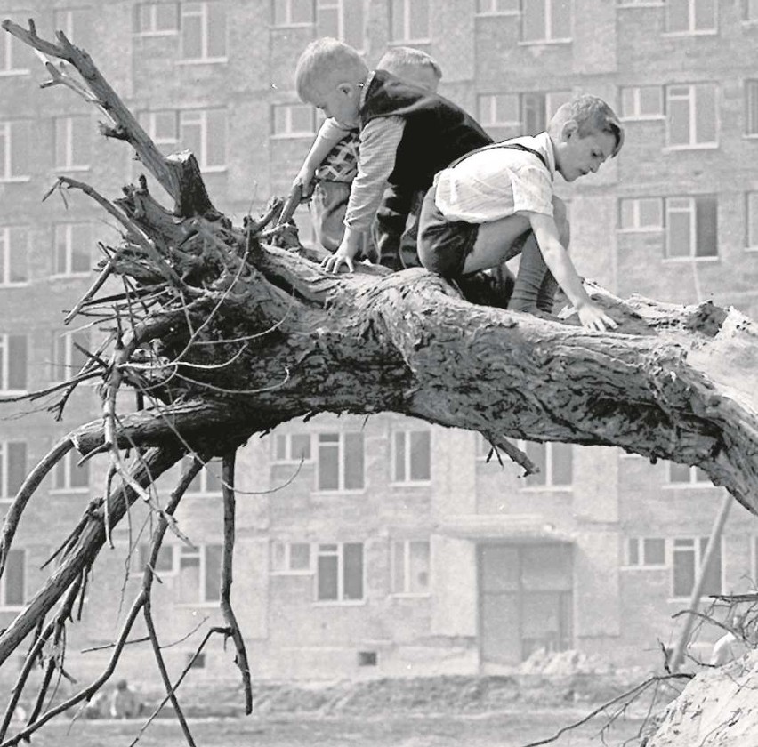 Plac zabaw na os. Kolorowym, lata 60./70.