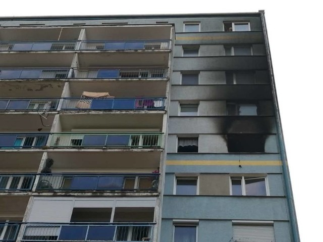 W nocy z wtorku na środę w mieszkaniu znajdującym się na siódmym piętrze wieżowca w Gnieźnie wybuchł pożar. W jego wyniku dwie osoby zostały zabrane do szpitala. Zobacz w galerii, jak wygląda wieżowiec po pożarze ---->
