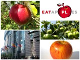 Polska niczym dorodne jabłko. Logo, torby i owoce w Brukseli