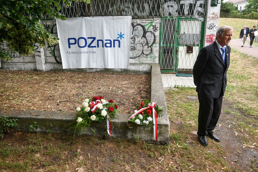 Poznań: Lipy ponownie szumią nad pomnikiem poległych...