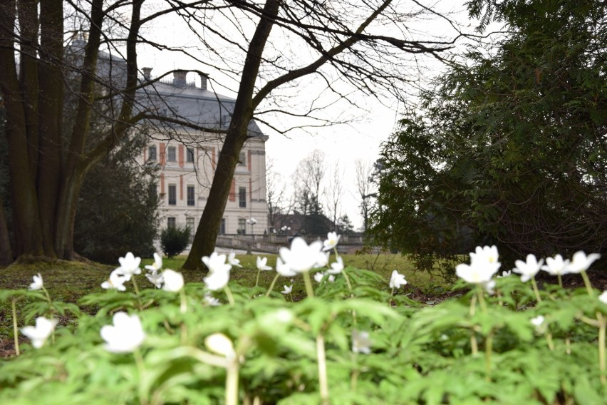 Park w Pszczynie, to zawsze dobry pomysł. Nie potrzebujemy...