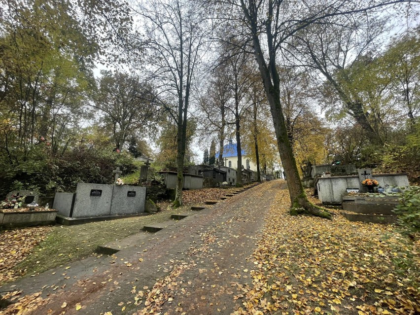 Zabytkowy cmentarz "Na Zjawieniu" w Radomyślu nad Sanem - niezwykle urokliwe miejsce [ZDJĘCIA]