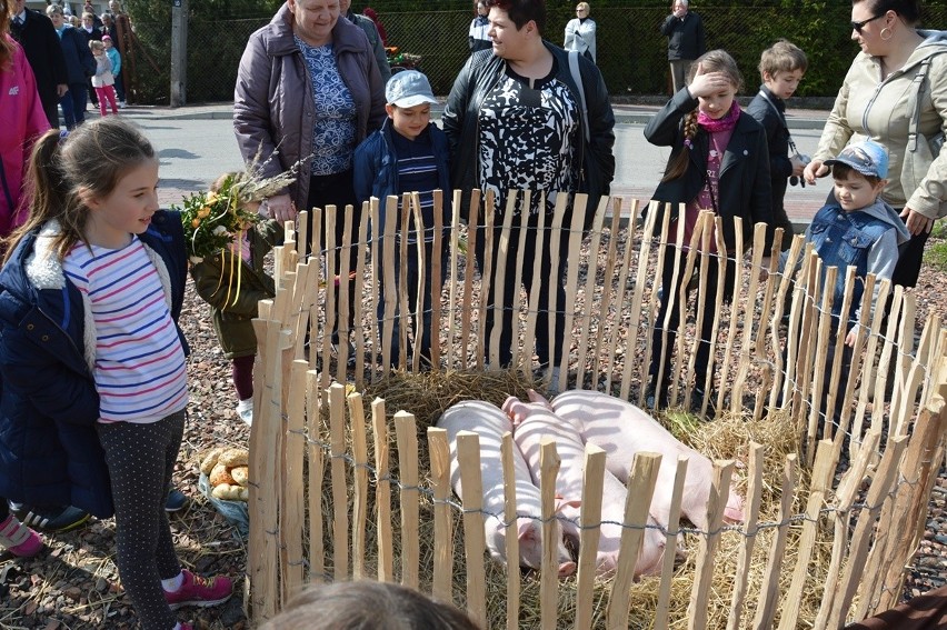 Niedziela Palmowa w Rudniku nad Sanem. Przez osła nie było wjazdu do Jerozolimy