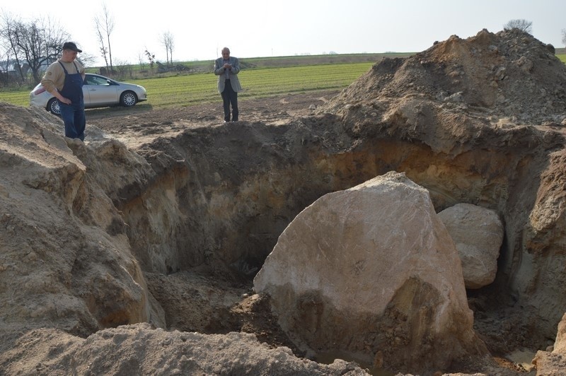 Głaz gigant odkryty na polu rolnika w Domaniewie