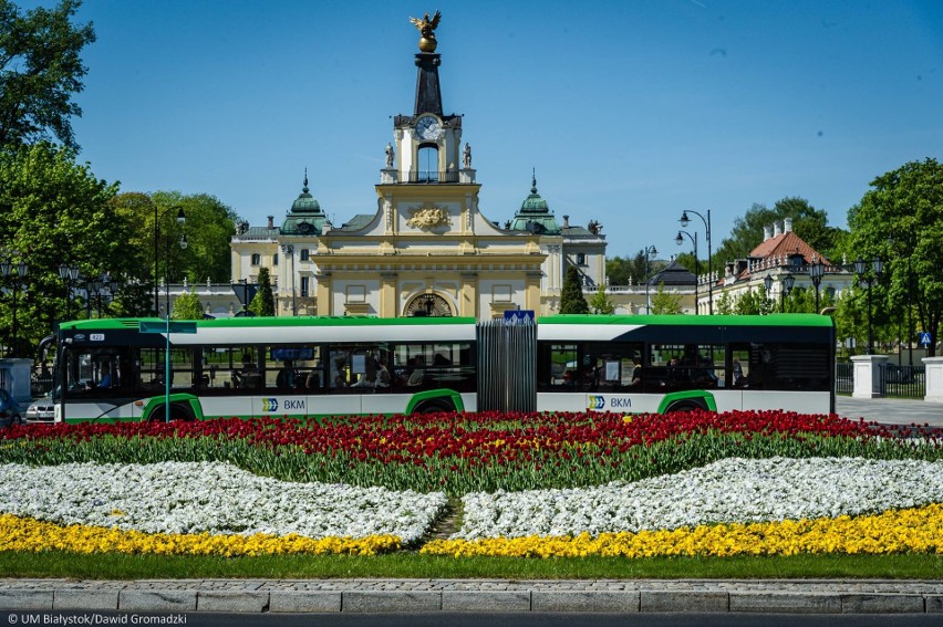 Transport miejski w Białymstoku będzie bardziej funkcjonalny...