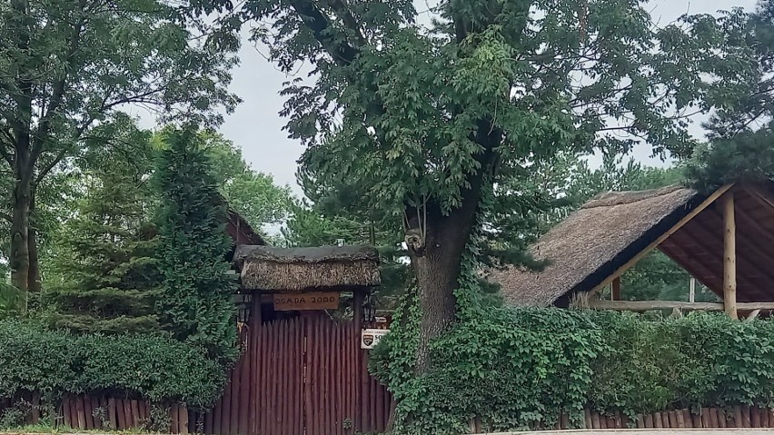 Kraków. Pub Osada 2000 w Cichym Kąciku