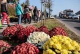 Rzeszów. W niedzielę i poniedziałek będą kursować specjalne linie autobusów MPK. Po to, aby dojechać na cmentarze 