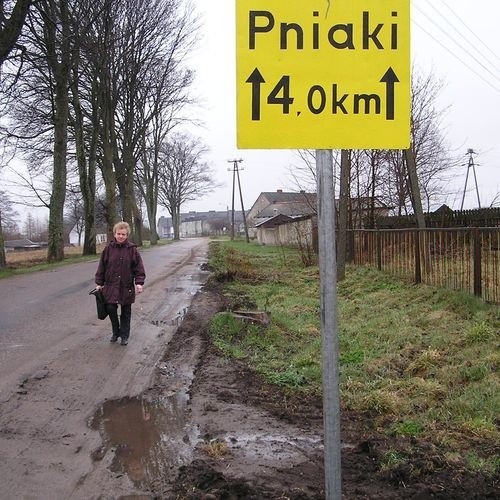 Groźne pniaki przy drodze.