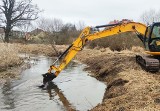 Trwa sprzątanie rzeki Szprotawa. Czy jest potrzebne?