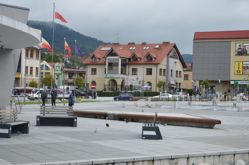 Limanowa. Radni przeciwni dokarmianiu gołębi na Rynku. „Latające szczury”. Amicus Vitae chce wyjaśnień od przewodniczącej 