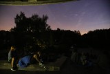 Noc Spadających Gwiazd 13 sierpnia 2021 w ogrodzie botanicznym. W Łodzi będzie można oglądać Perseidy i nocne motyle