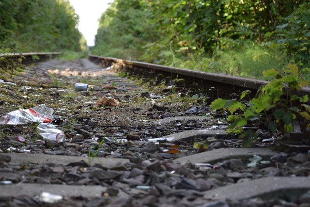 Władze gmin i powiatu sępoleńskiego walczą o przywrócenie pociągów. Obecnie w Sępólnie torowisko jest mocno zaśmiecone, zaniedbane, a  dla niektórych to miejsce spacerów