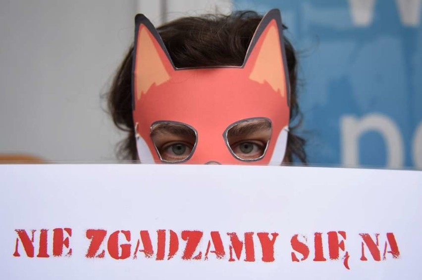 Stop myśliwym! Protest przed siedzibą PiS w Poznaniu...