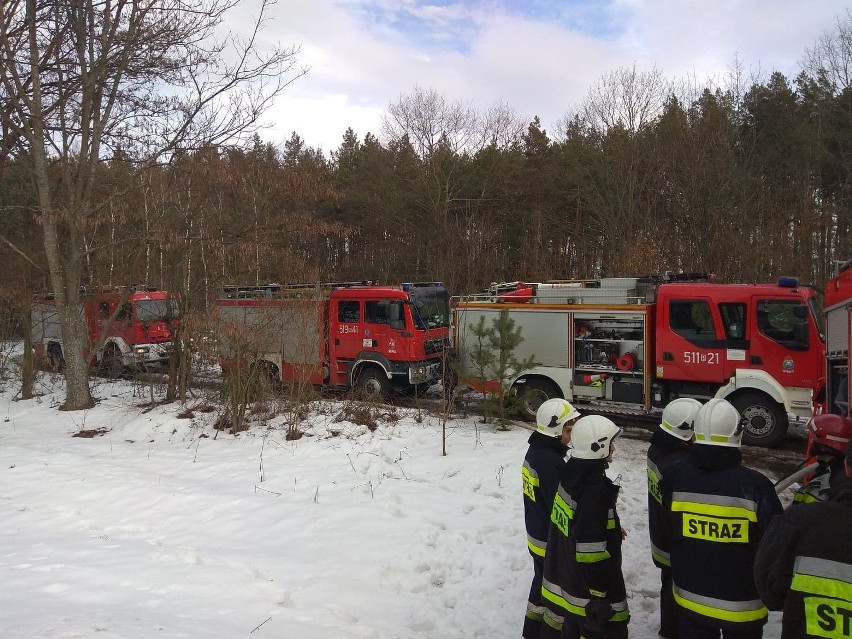 Pożar domu w powiecie niżańskim. Zginęła kobieta (zdjęcia)