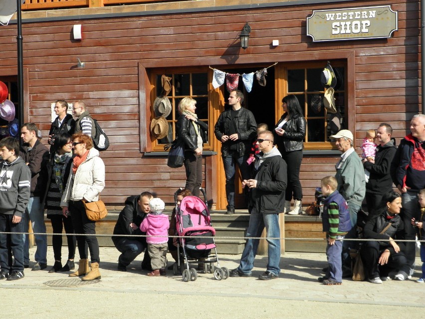 Miasteczko Twinpigs w Żorach