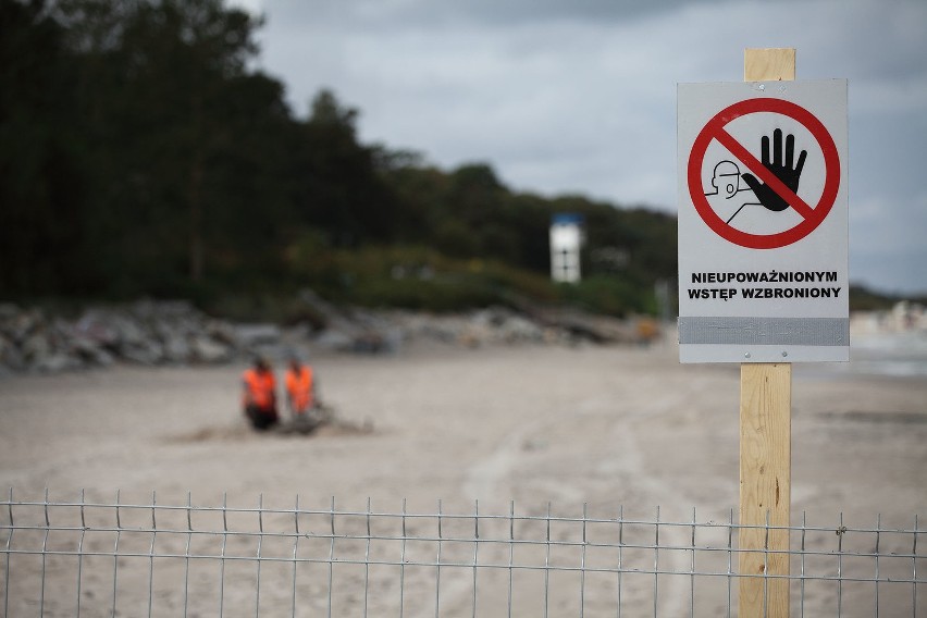 Saperzy oczyszczają plażę w Ustce (zdjęcia)