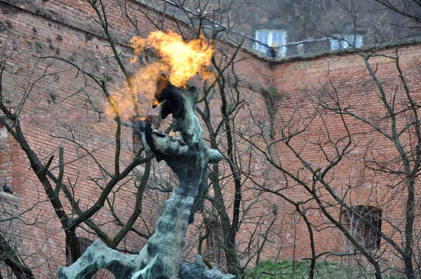 Kraków. Smok Wawelski z wiekiem robi się coraz bardziej niesforny i nie chce ziać ogniem. Jego opiekun ma pełne ręce roboty