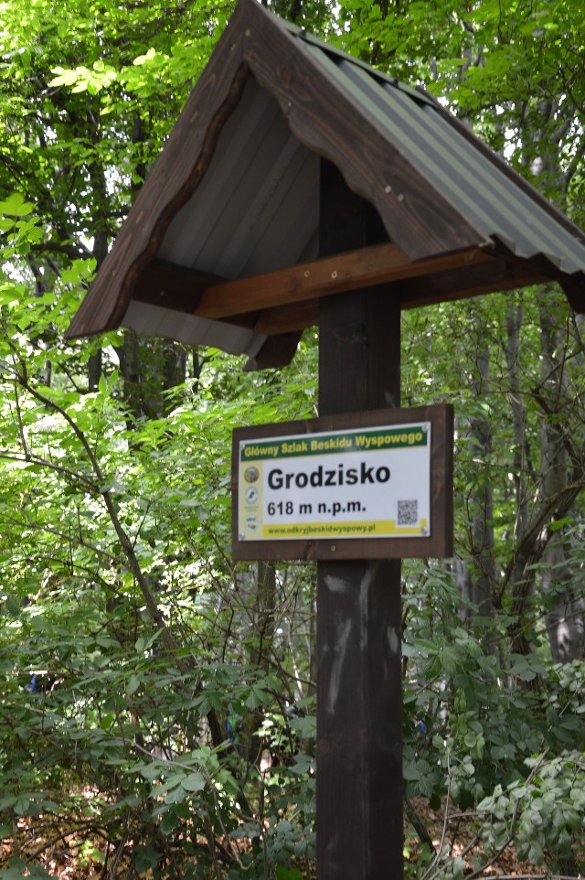 Raciechowice chcą utworzenia pieszej trasy turystycznej przez Grodzisko z parkingami na obu jej końcach (w Krzesławicach i Poznachowicach Górnych)