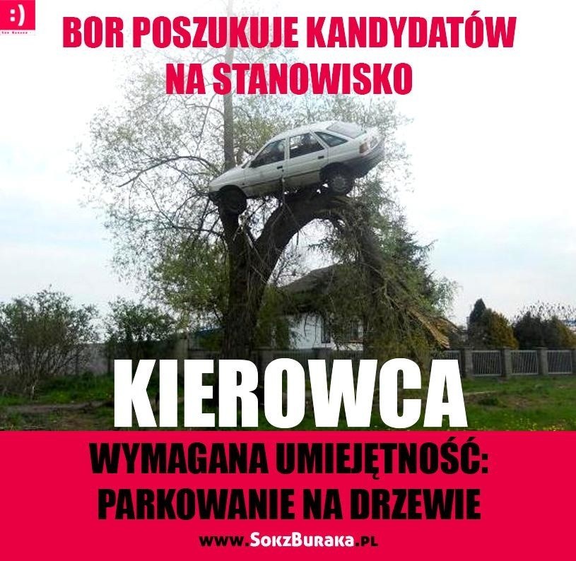 Dzień grzeczności za kierownicą. Jacy tak naprawdę jesteśmy na drogach? [MEMY]