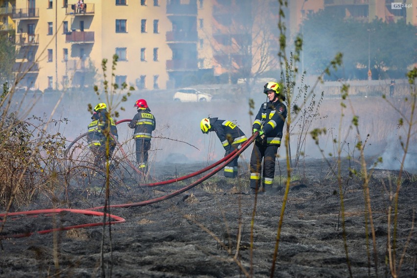 Akcja straży pożarnej na ul. Turkusowej. Pożar traw