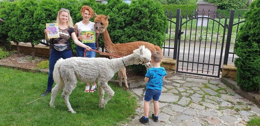 Jedną z atrakcji niedzielnego festynu na radomskich Borkach...