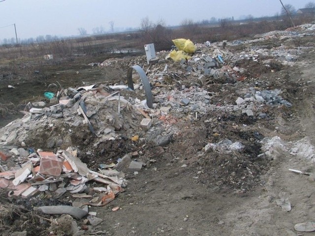 Bezrobotni skierowani do pracy na teren tarnobrzeskiego osiedla Wielowieś, będą pracowali między innymi przy usuwaniu popowodziowych odpadów, które nadal zalegają na poboczach lokalnych ulic.