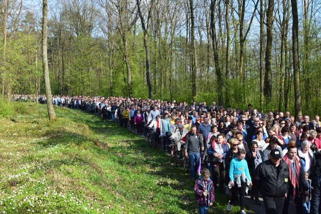 Droga krzyżowa rozpoczęła się w Jagielle podążając do Gniewczyny Łańcuckiej. Podczas każdej stacji drogi odbywały się, krótkie inscenizacje. Wzięło w niej udział około tysiąca osób.