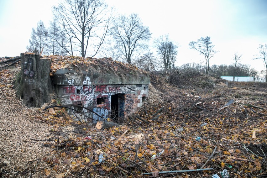 Dewastacja Twierdzy Kraków. Będą surowe konsekwencje? [ZDJĘCIA] 22.11