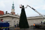 W Poznaniu zawieszane są już ozdoby świąteczne. Zostaną zapalone 6 grudnia