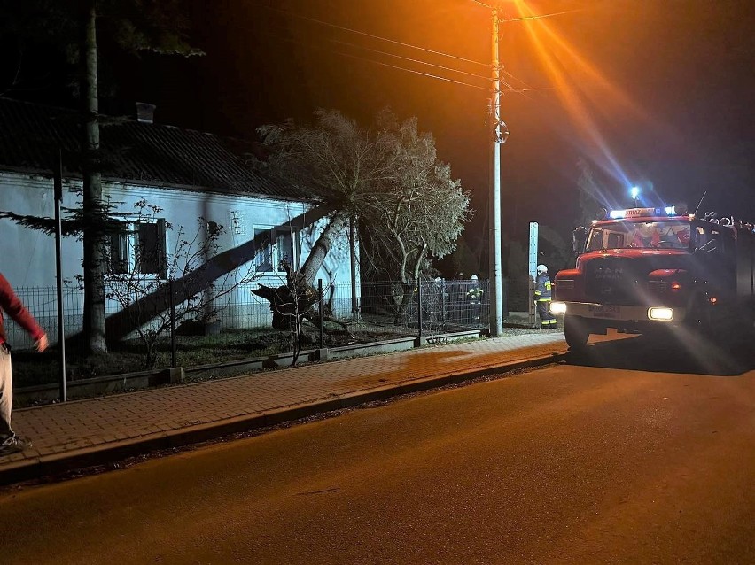 Interwencja strażaków w Widomej. Drzewo powalone na dom