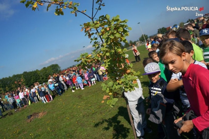 Ponad 100 osób sadziło drzewa w Parku Cegielnia w Żorach