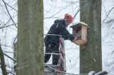 W Gdańsku oczyszczono 1,3 tys. ptasich budek. Schronienia gotowe na wiosenny okres lęgowy