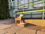 Przy Urzędzie Miasta w Starachowicach powstał... parking dla psów. Można tu bezpiecznie zostawić swojego pupila (ZDJĘCIA)