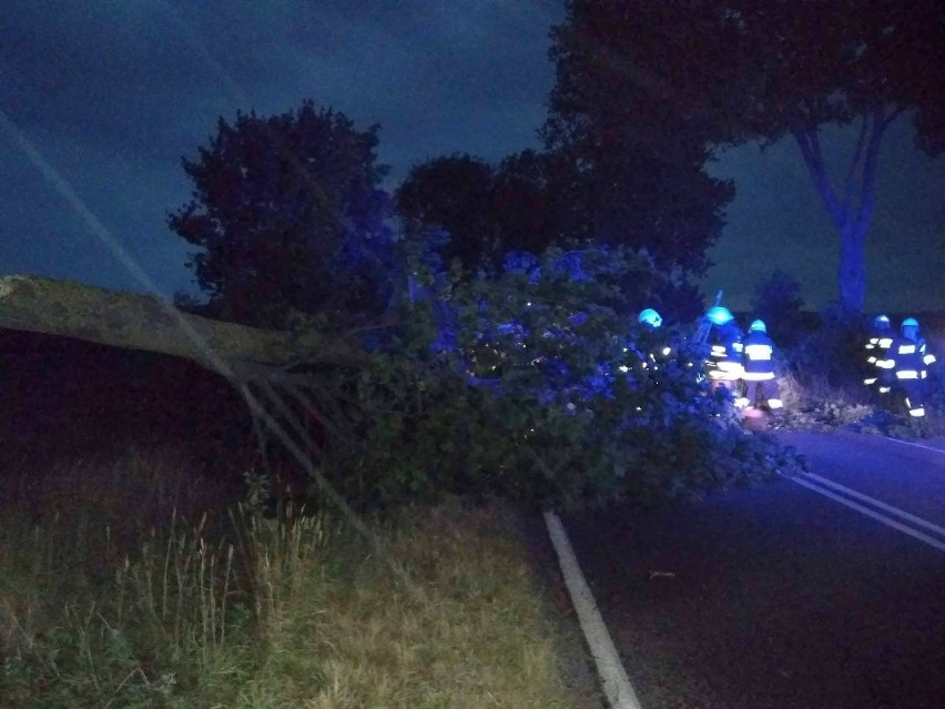 Burze w Podlaskiem niszczyły domy i powalały drzewa. Zdjęcie...