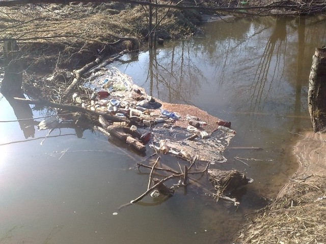 Mnóstwo śmieci spływa aktualnie rzeką Kamionką w Suchedniowie. Przy powalonych drzewach zbierają się grzechoczące w nurcie butelki, a nawet części telewizorów.